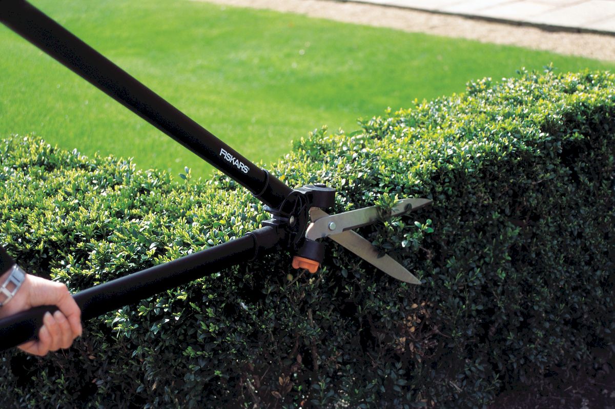 Аренда кустореза: преимущества и особенности Аренда кустореза: преимущества и особенности