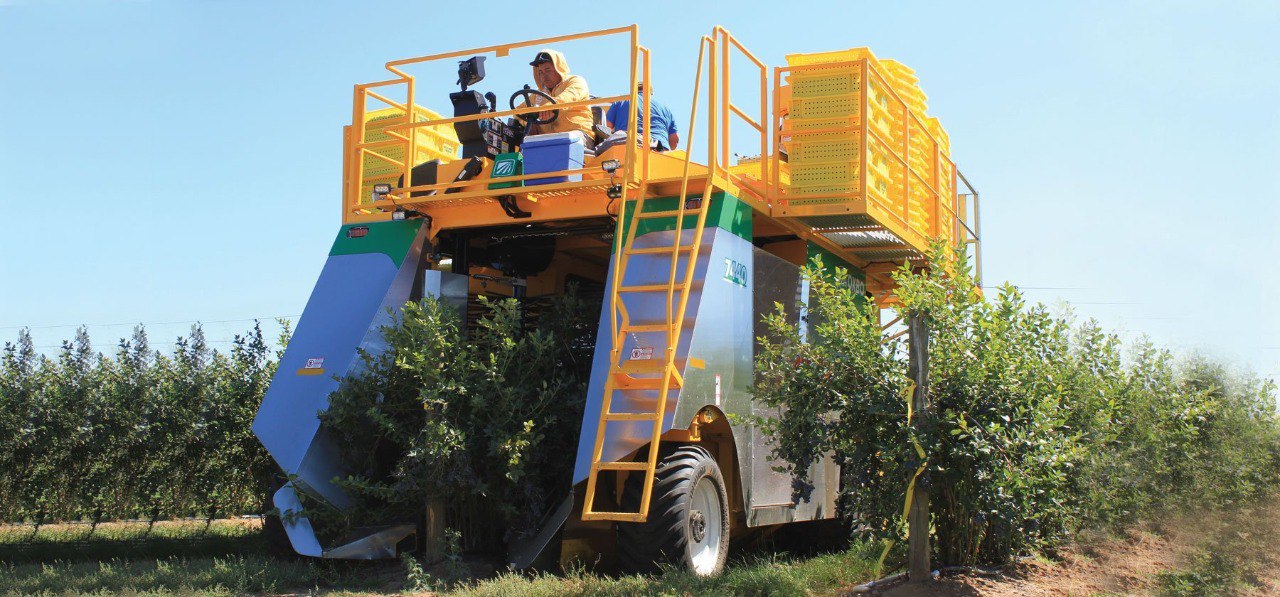 Аренда техники для уборки деревьев Аренда техники для уборки деревьев