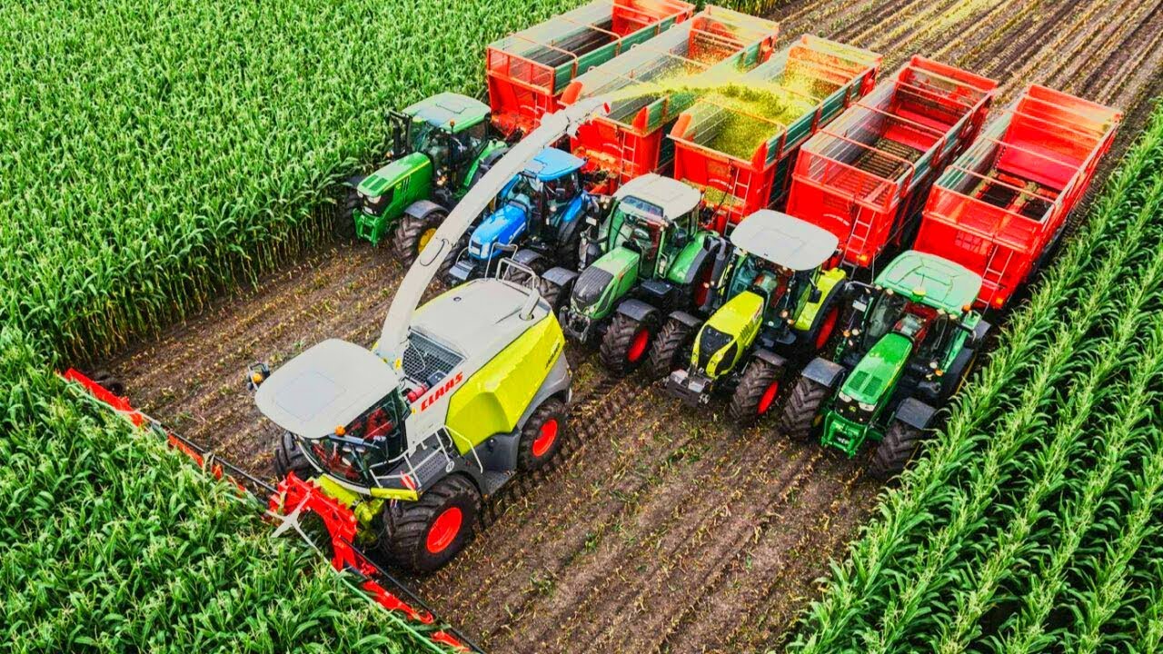 Какие виды техники используются для уборки овощей и фруктов Какие виды техники используются для уборки овощей и фруктов