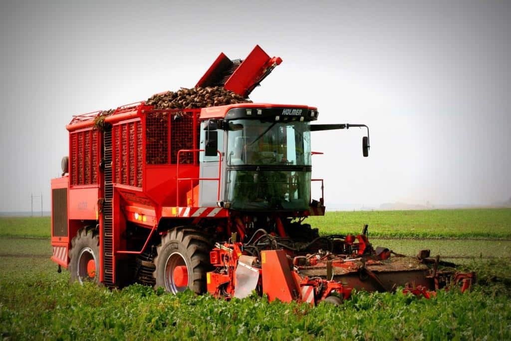 Аренда техники для уборки и обработки кормовых корнеплодов Аренда техники для уборки и обработки кормовых корнеплодов