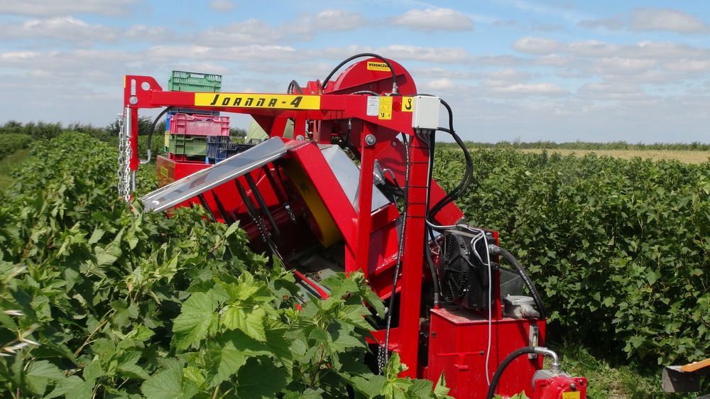 Какие виды техники используются для уборки и переработки ягодных культур? Какие виды техники используются для уборки и переработки ягодных культур?