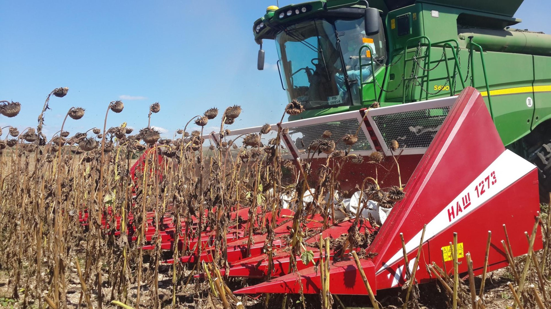 Аренда жатки для уборки подсолнечника: особенности и преимущества