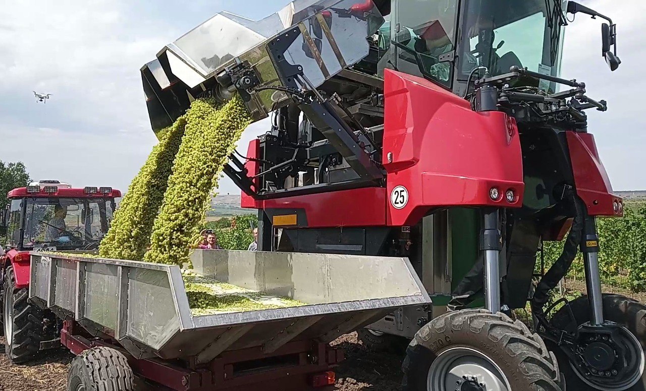 Аренда комбайна для сбора винограда Аренда комбайна для сбора винограда
