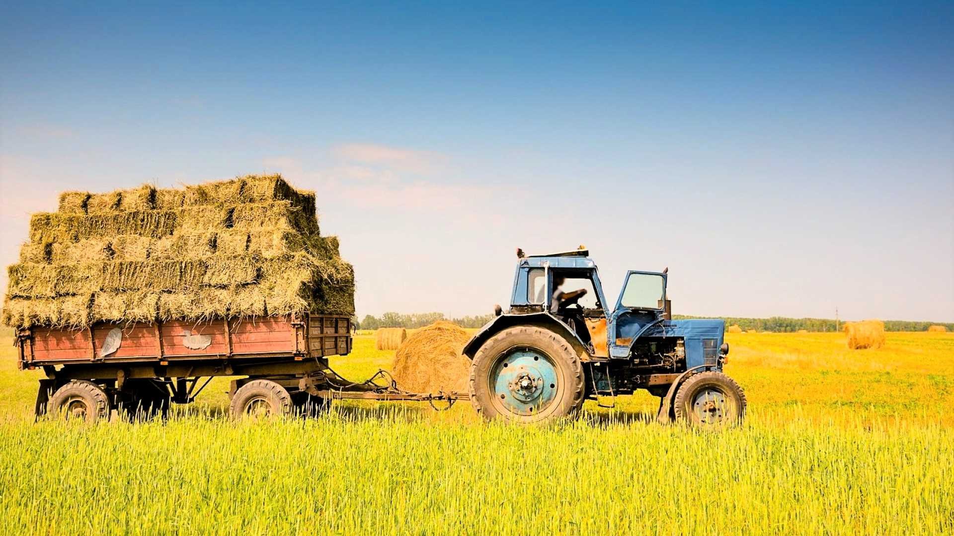 Аренда тракторов колесных: преимущества и особенности Аренда тракторов колесных: преимущества и особенности
